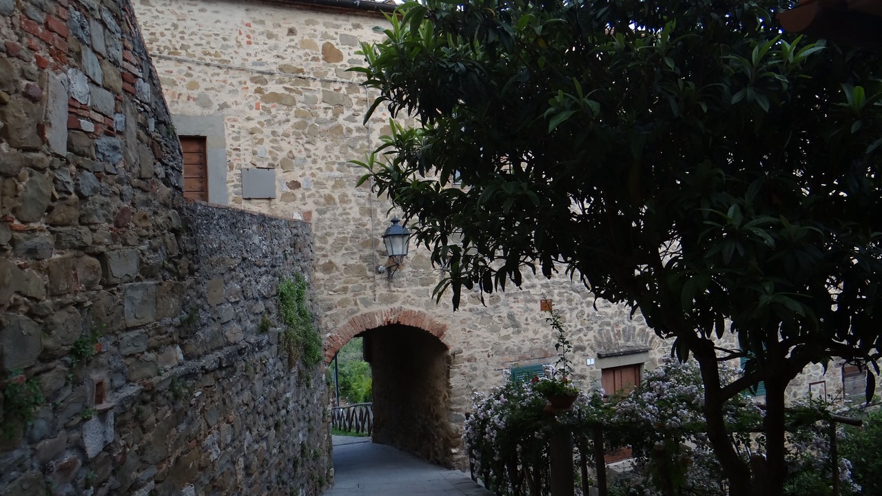 Photo of Outdoor in Scansano