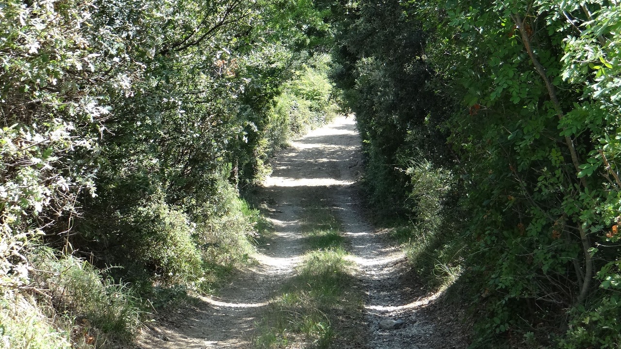 Photo of Outdoor in Scansano