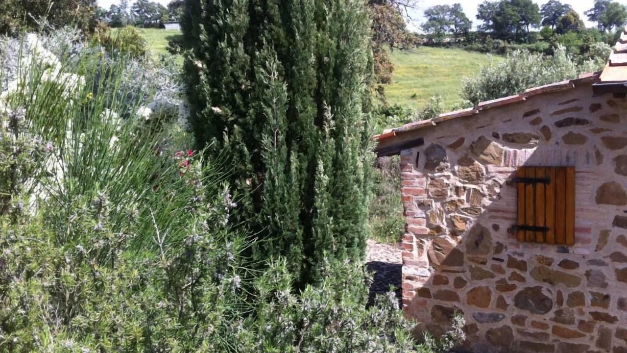 Photo of Outdoor in Scansano