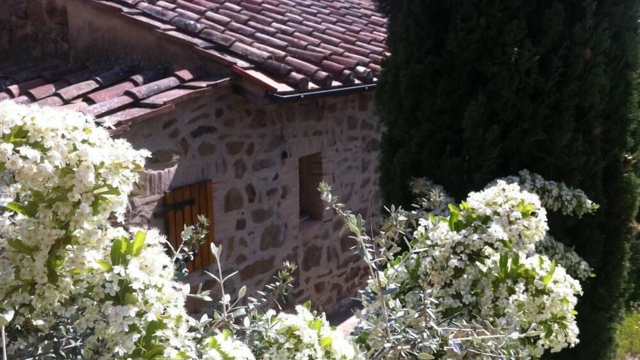 Photo of Outdoor in Scansano