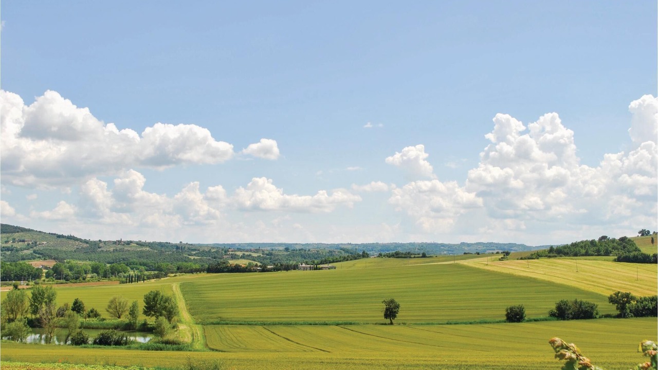 Photo of Others in Castiglione del Lago