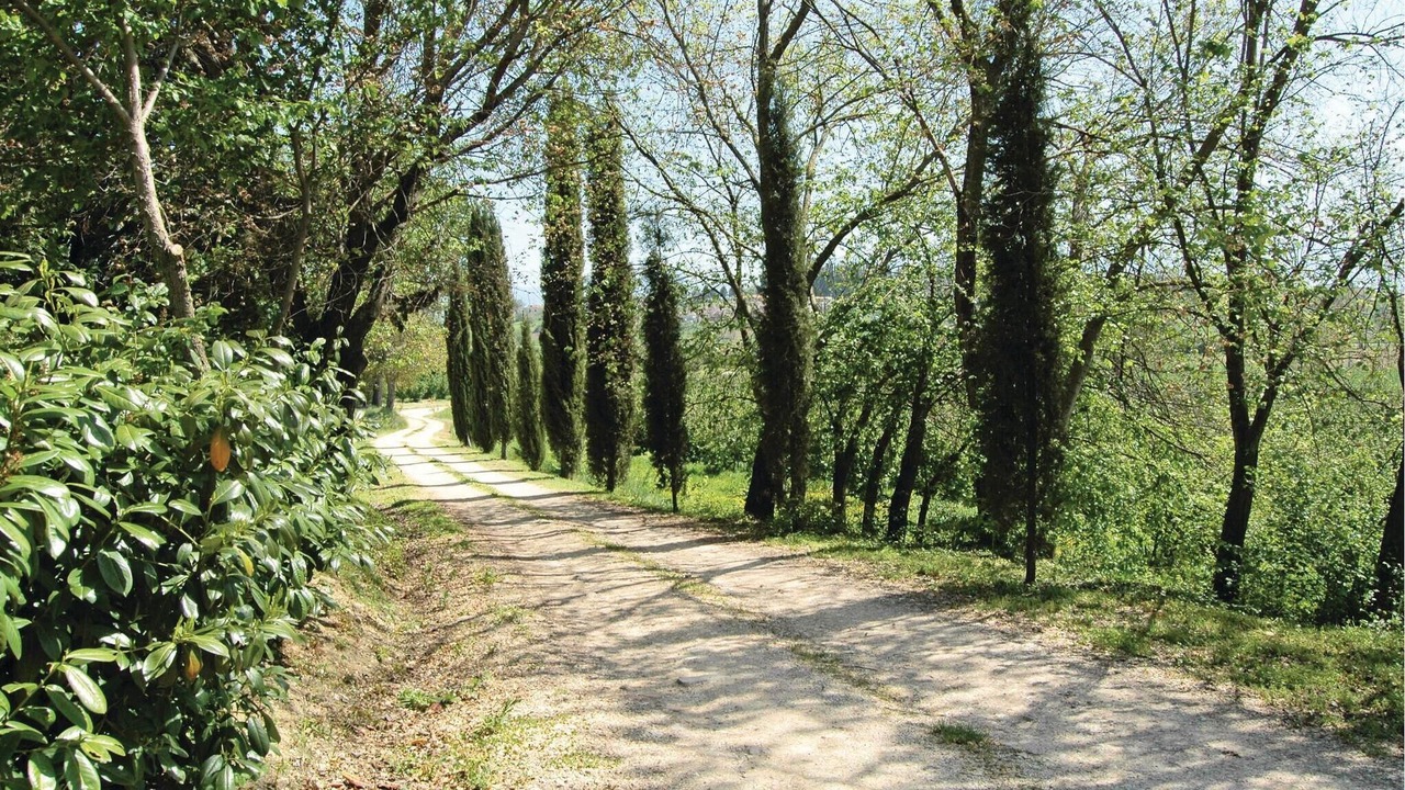 Photo of Outdoor in Bevagna