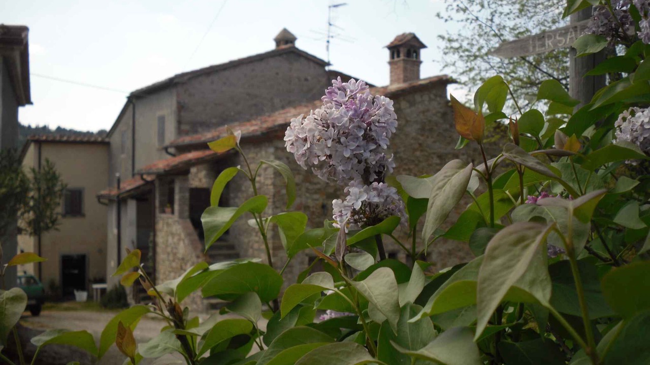 Photo of Outdoor in Lippiano