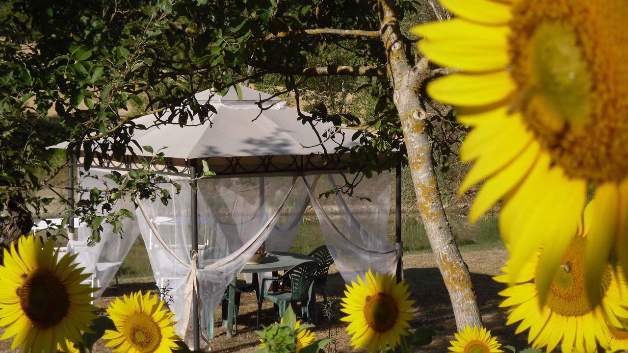 Photo of Outdoor in Lippiano