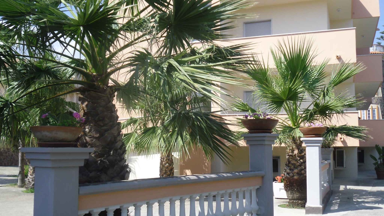 Photo of Buildings in Ascea