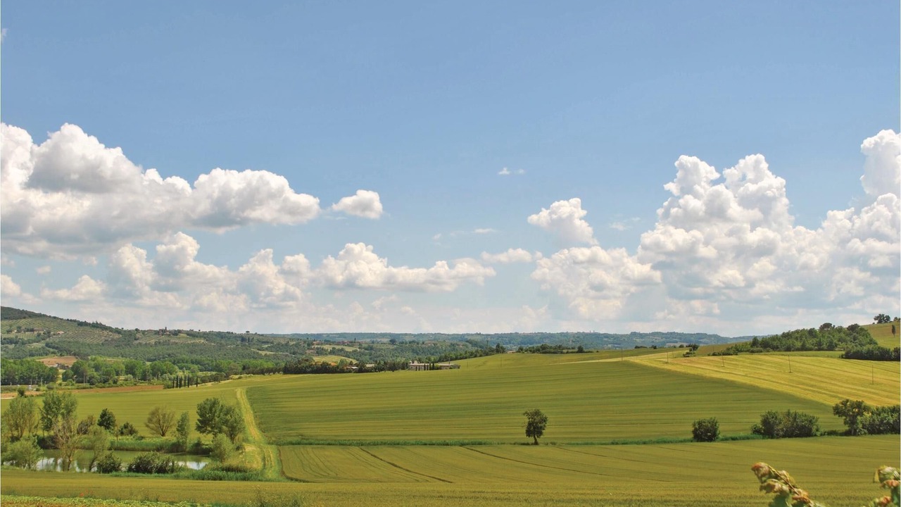 Photo of Others in Castiglione del Lago