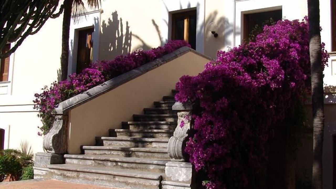 Photo of Outdoor in Cirella