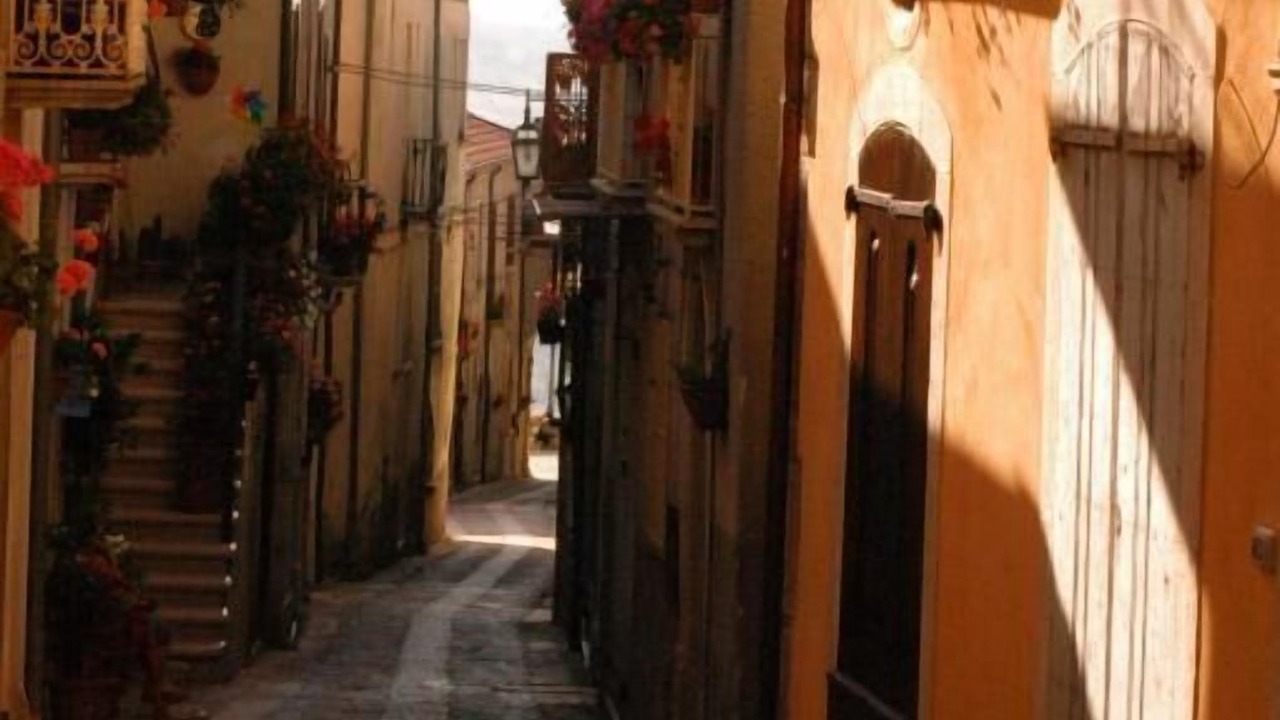 Photo of Outdoor in Taurasi
