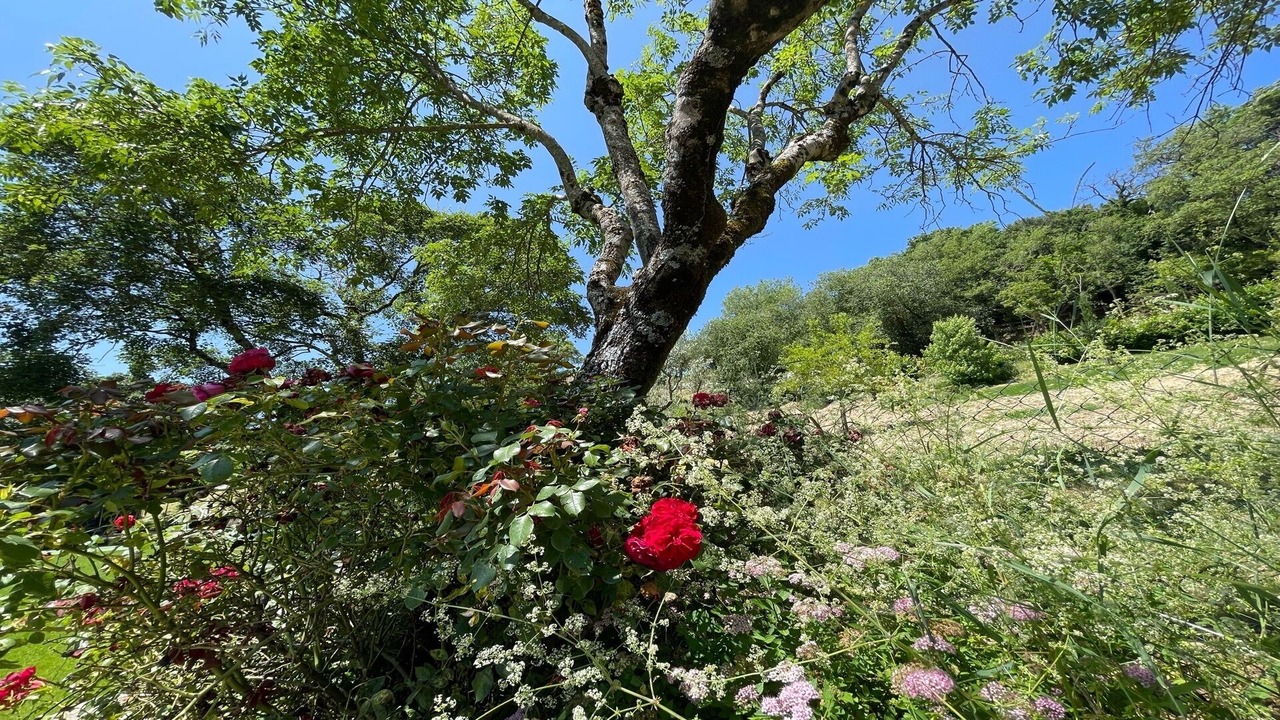 Photo of Outdoor in Spoleto