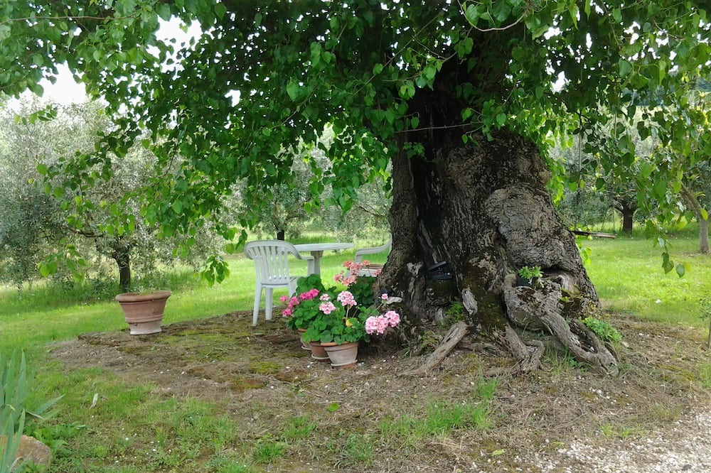 Photo of Outdoor in Fratta Todina