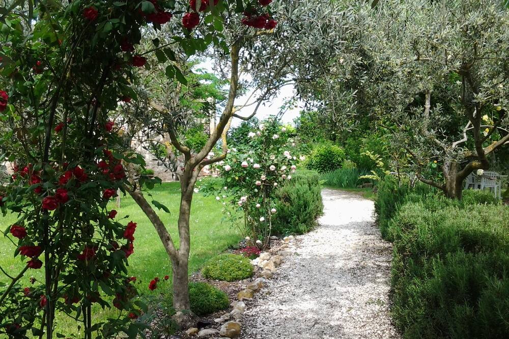 Photo of Outdoor in Fratta Todina