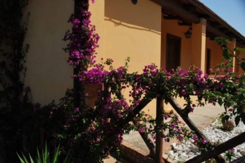 Photo of Outdoor in Stella Cilento