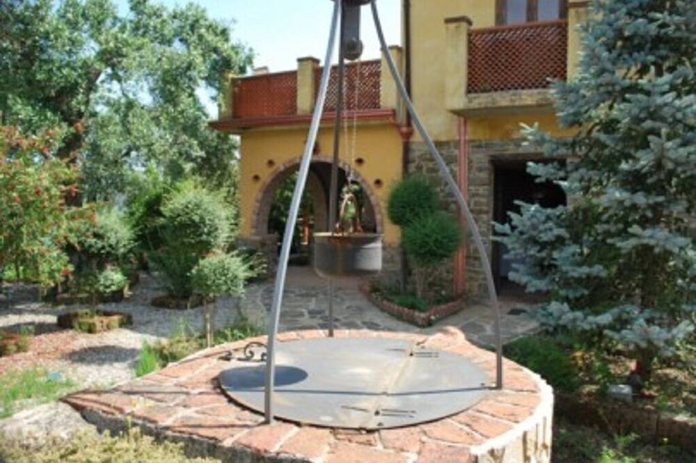 Photo of Others in Stella Cilento