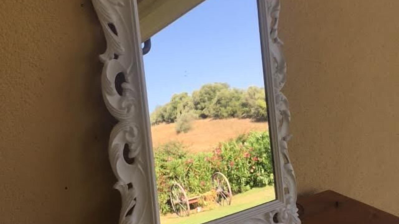 Photo of Others in Campagnatico