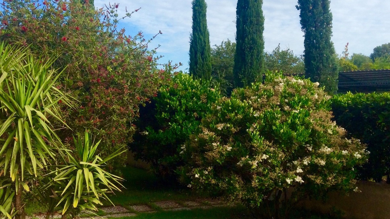 Photo of Outdoor in Campagnatico