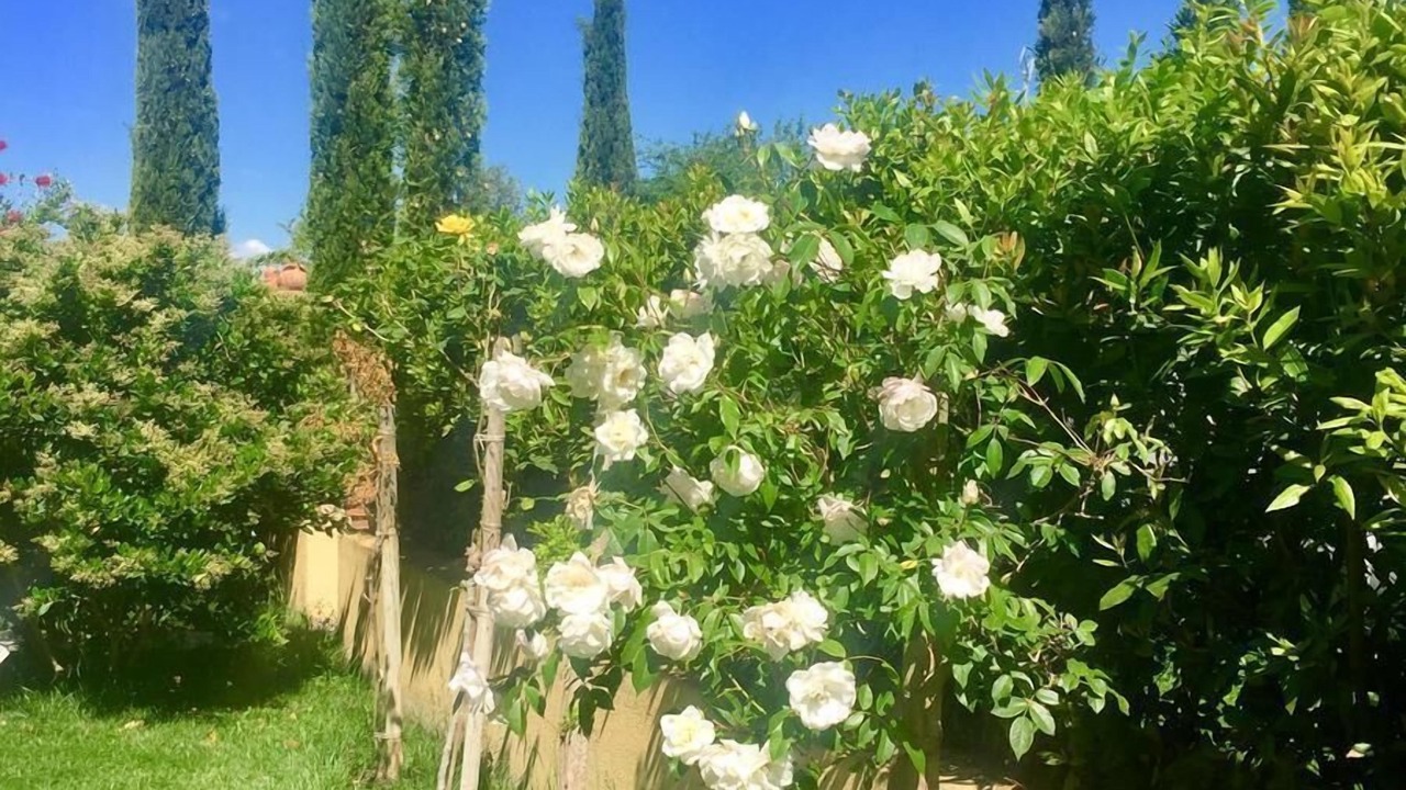 Photo of Outdoor in Campagnatico
