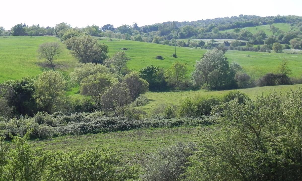 Photo of Outdoor in Campagnatico