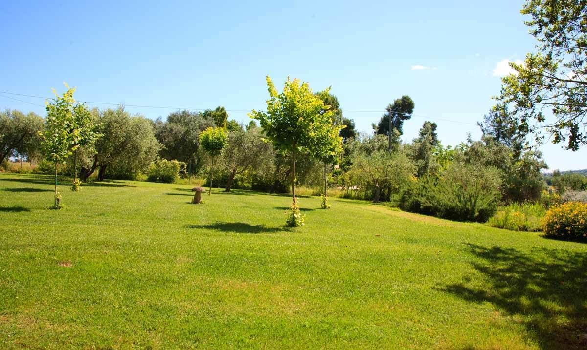 Photo of Outdoor in Osimo