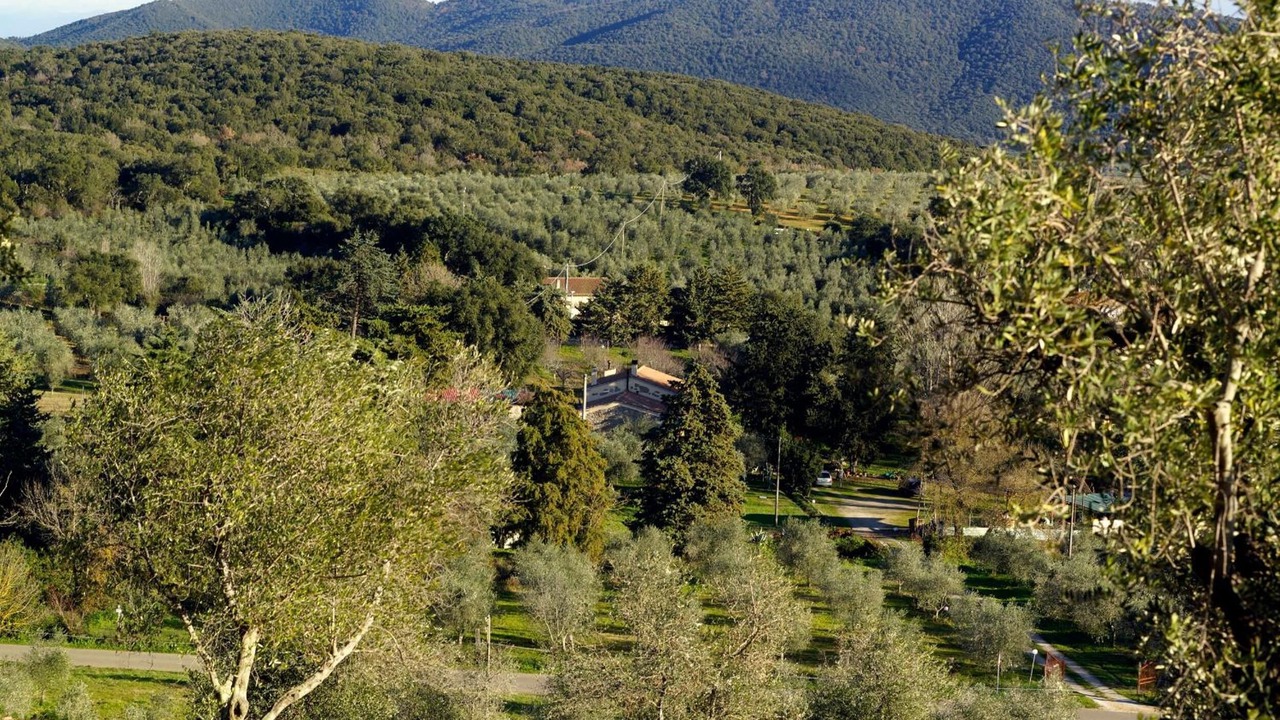 Photo of Outdoor in Montorsaio