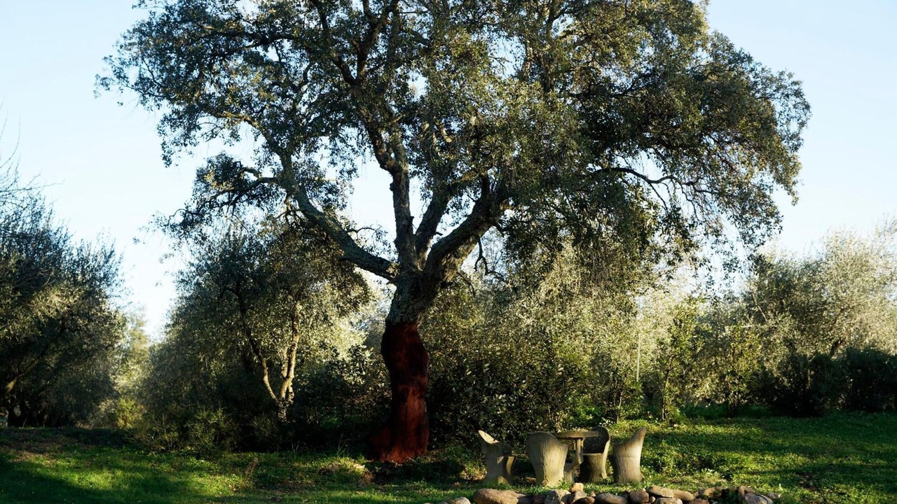 Photo of Outdoor in Montorsaio