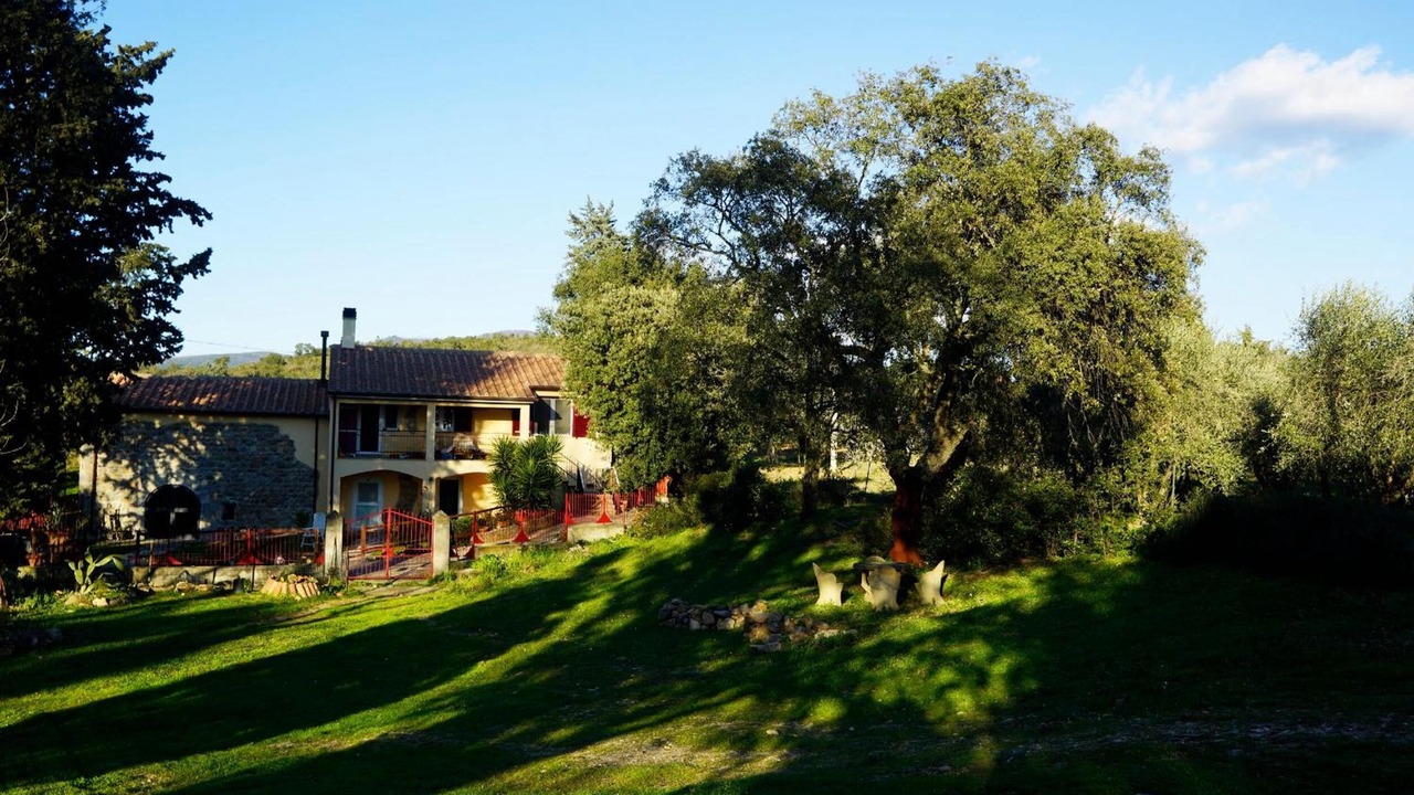 Photo of Outdoor in Montorsaio