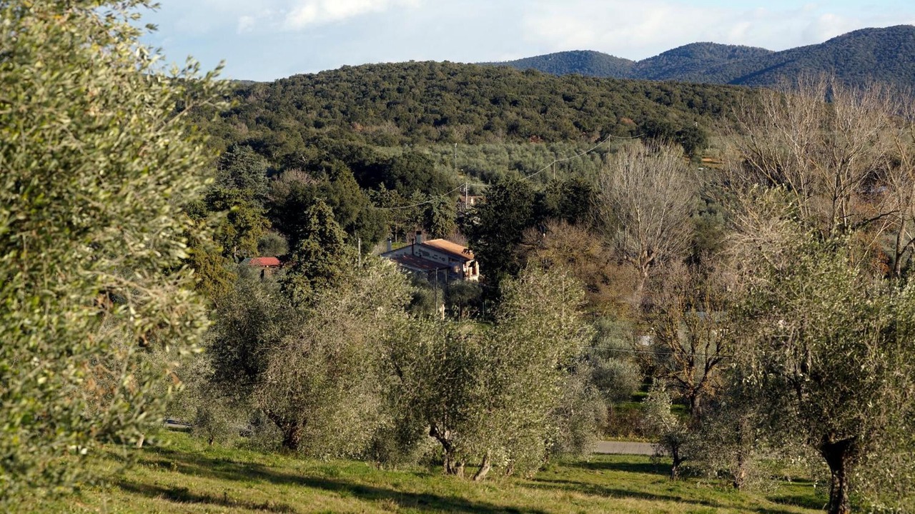 Photo of Outdoor in Montorsaio