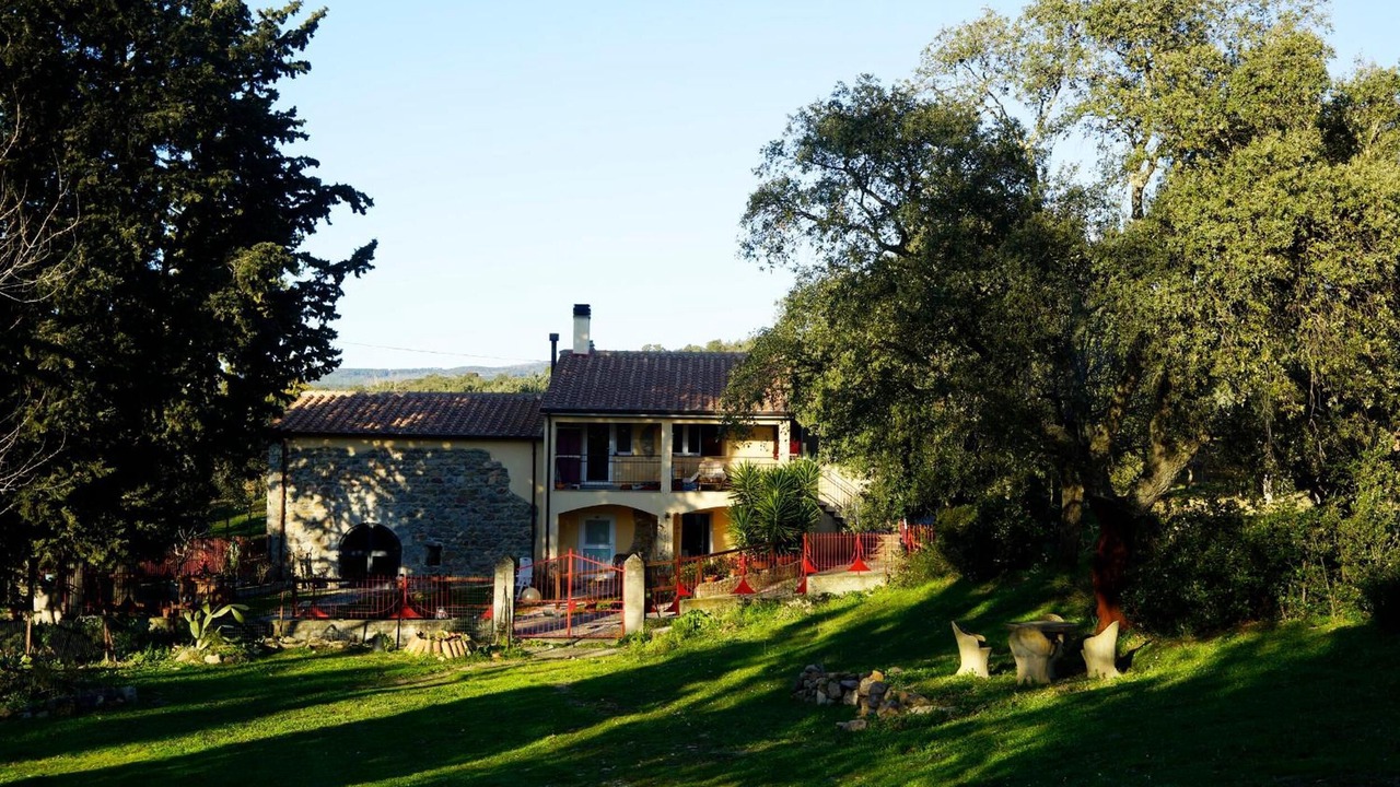 Photo of Outdoor in Montorsaio