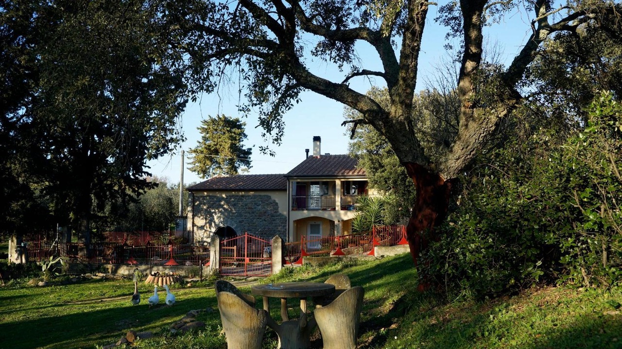 Photo of Outdoor in Montorsaio