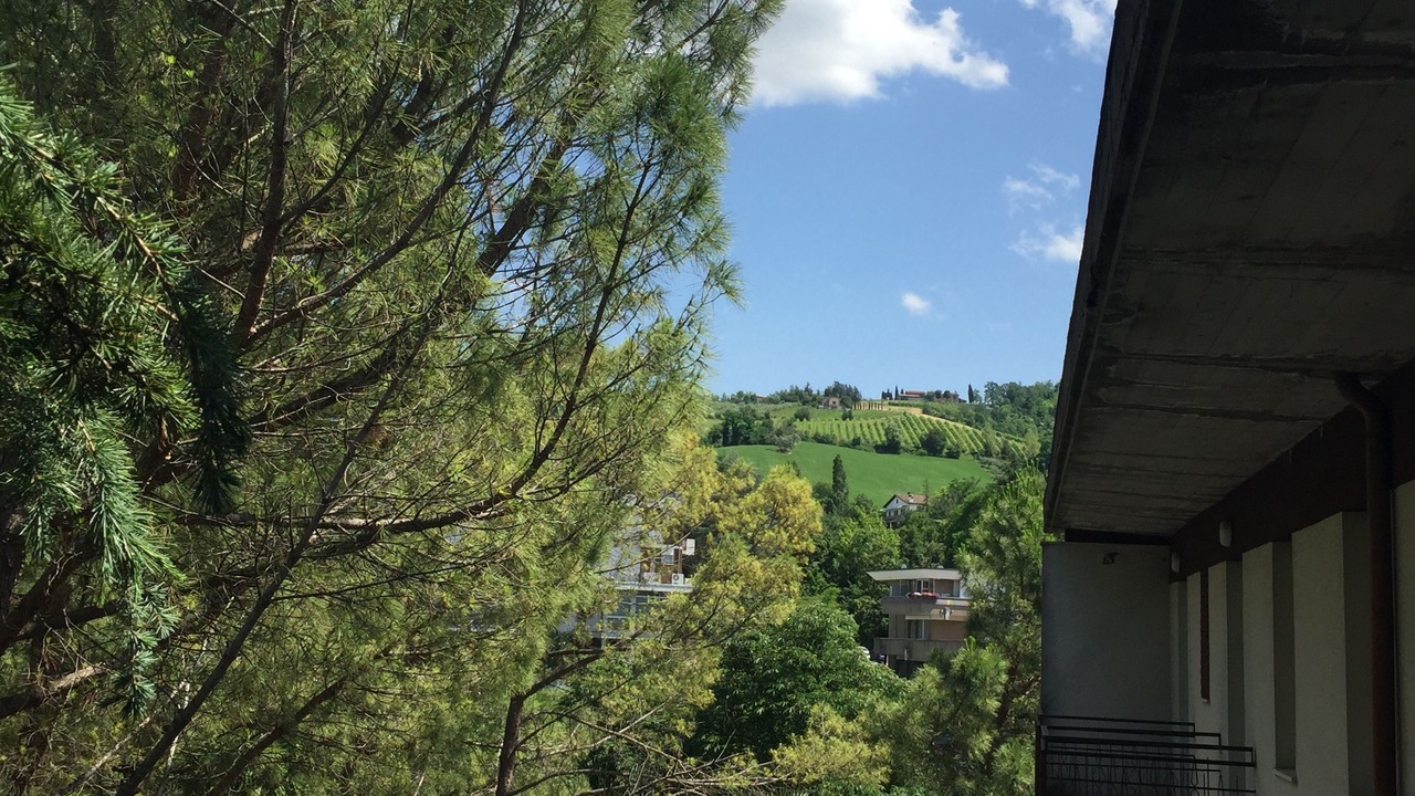 Photo of Others in Castrocaro Terme