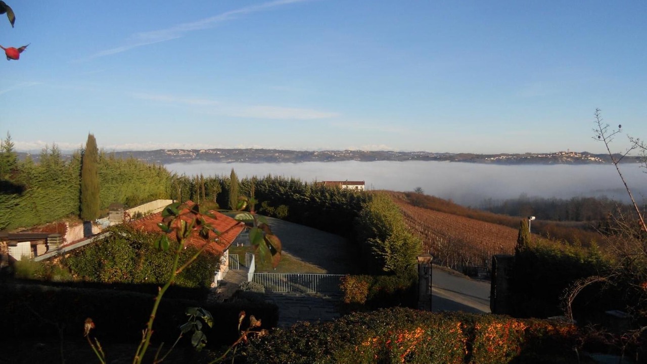 Photo of Outdoor in La Morra