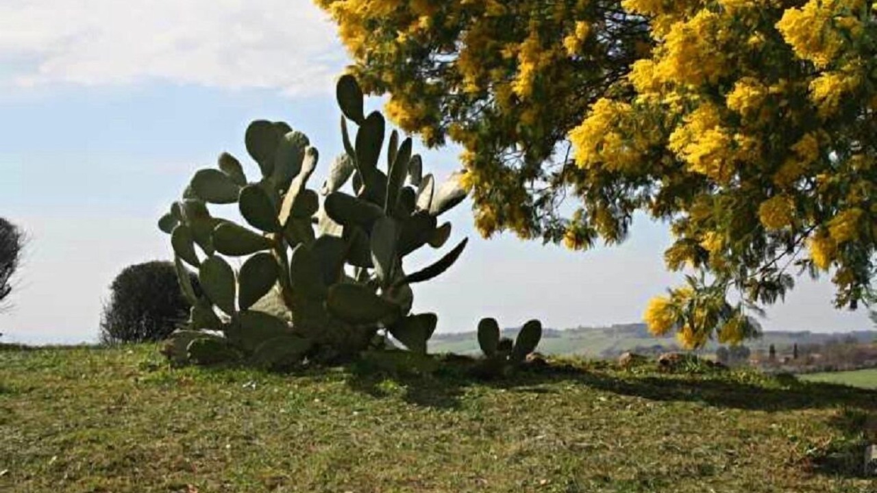 Photo of Outdoor in Scansano
