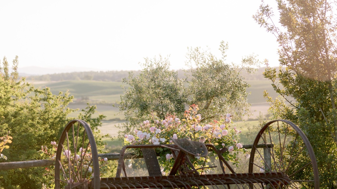 Photo of Outdoor in Trequanda