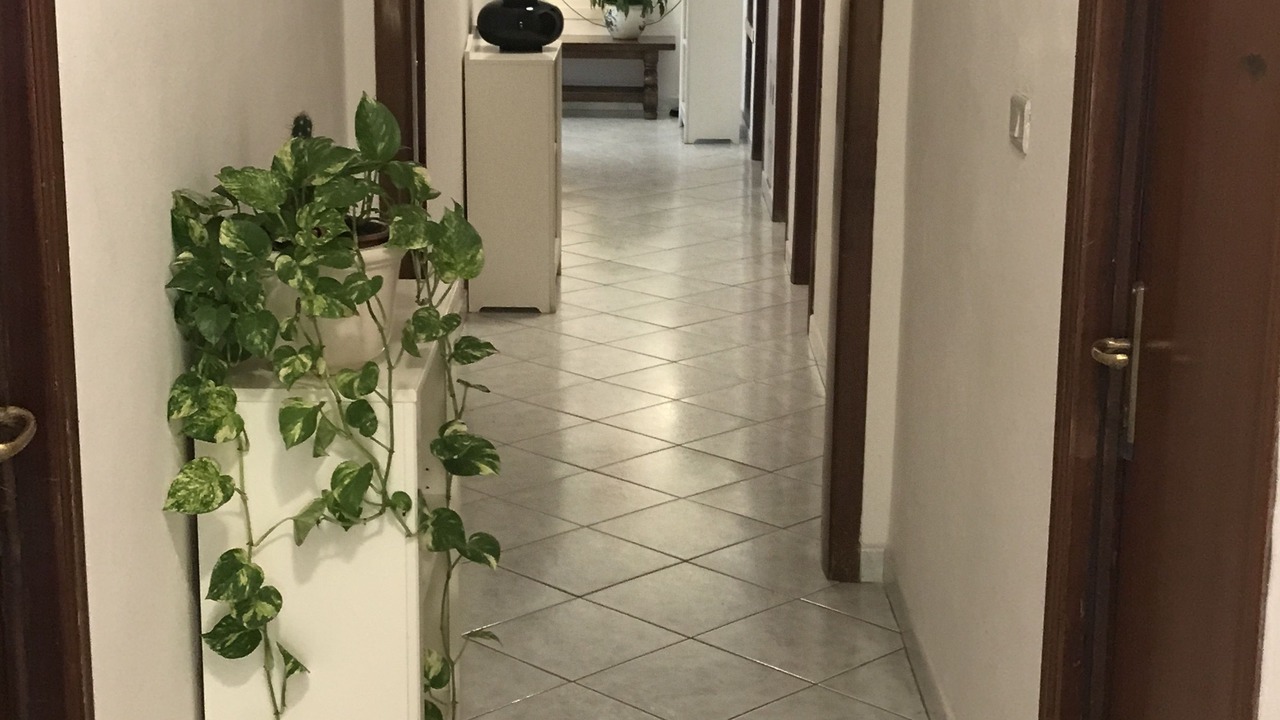 Photo of Others in Rispescia