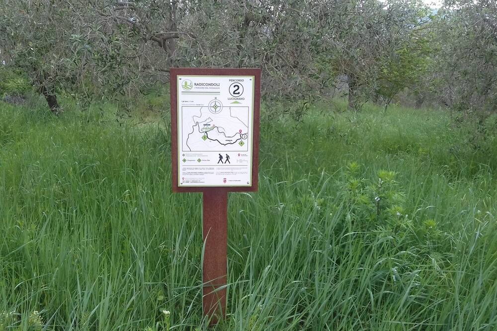 Photo of Outdoor in Radicondoli