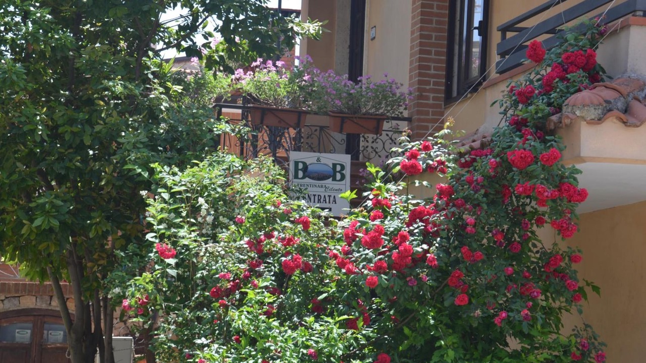 Photo of Outdoor in Trentinara