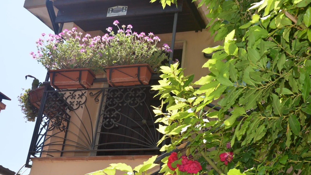 Photo of Outdoor in Trentinara