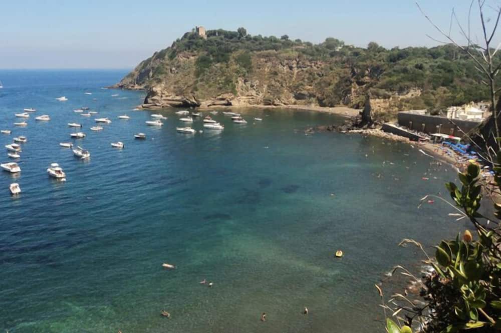 Photo of Others in Procida
