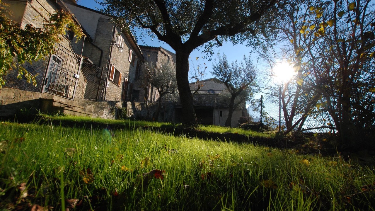 Photo of Outdoor in Torre del Colle