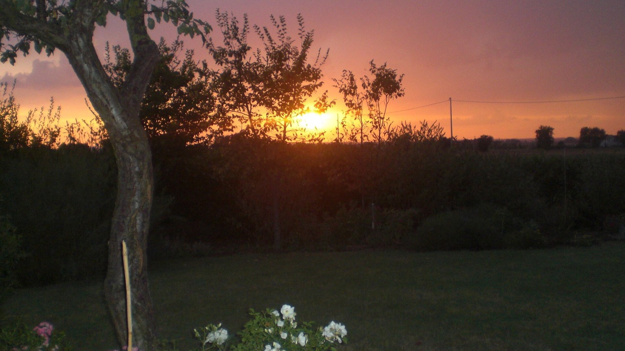 Photo of Outdoor in Panicale