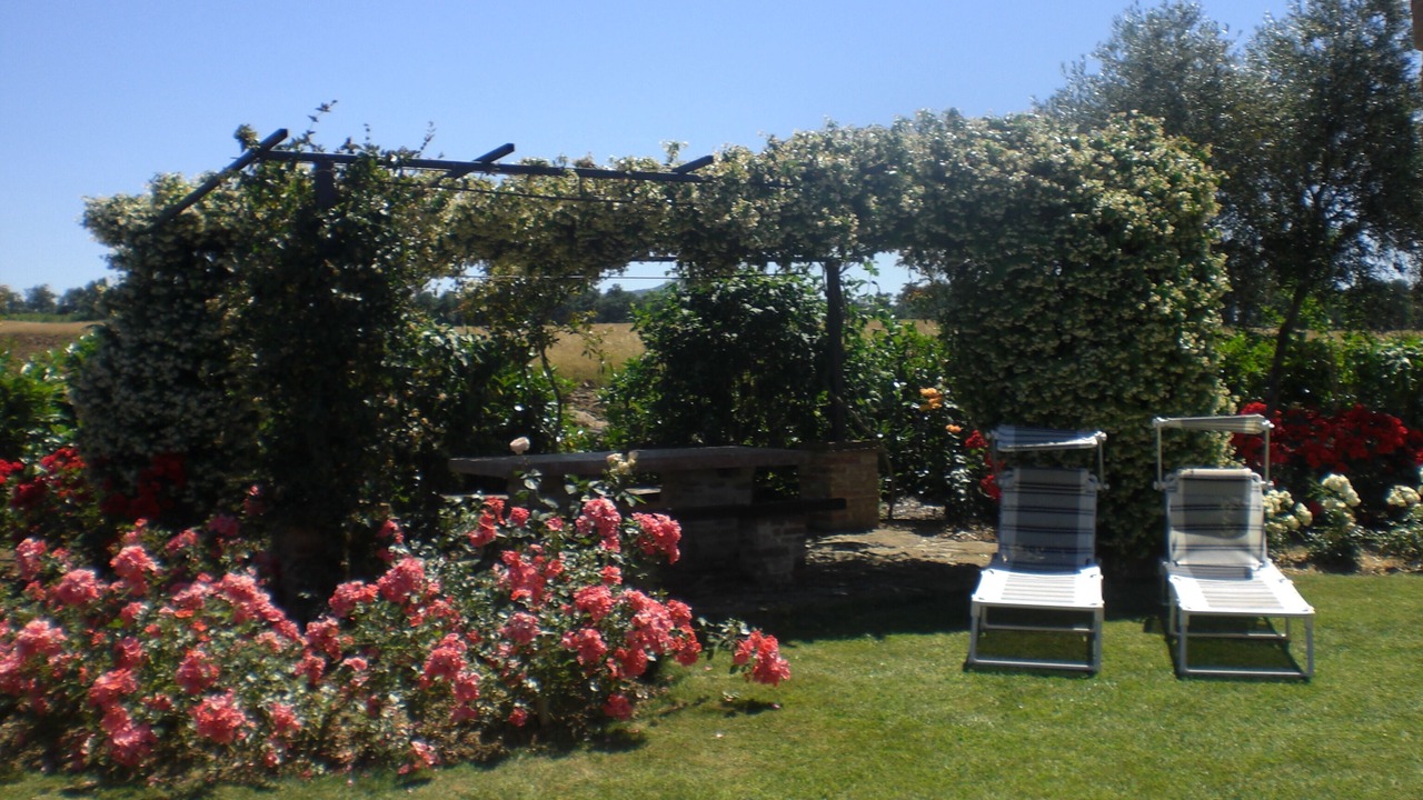 Photo of Outdoor in Panicale
