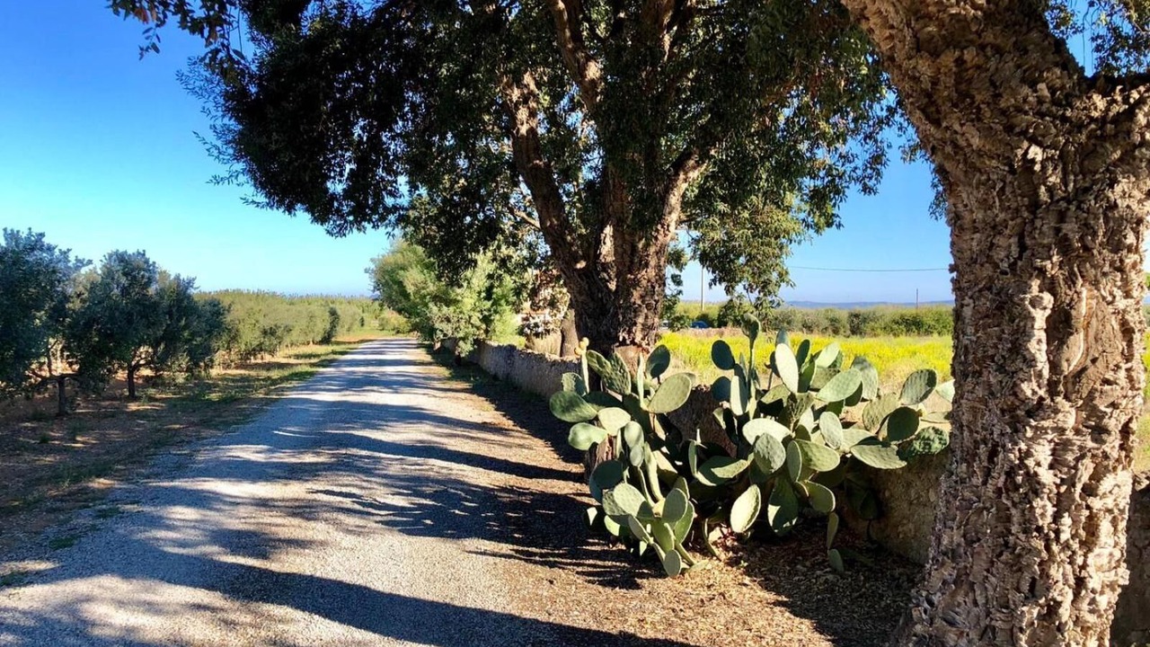 Photo of Outdoor in Monte Argentario