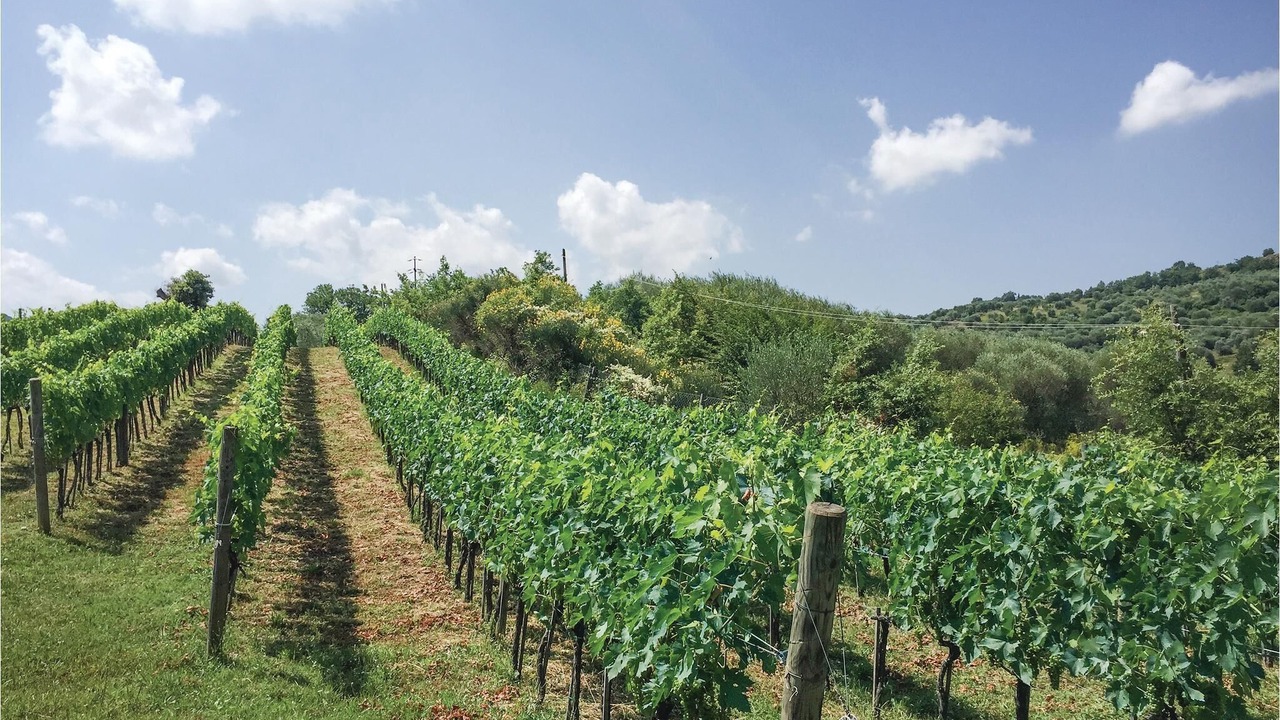 Photo of Outdoor in Scansano