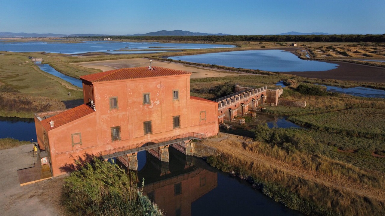 Photo of Others in Marina di Grosseto