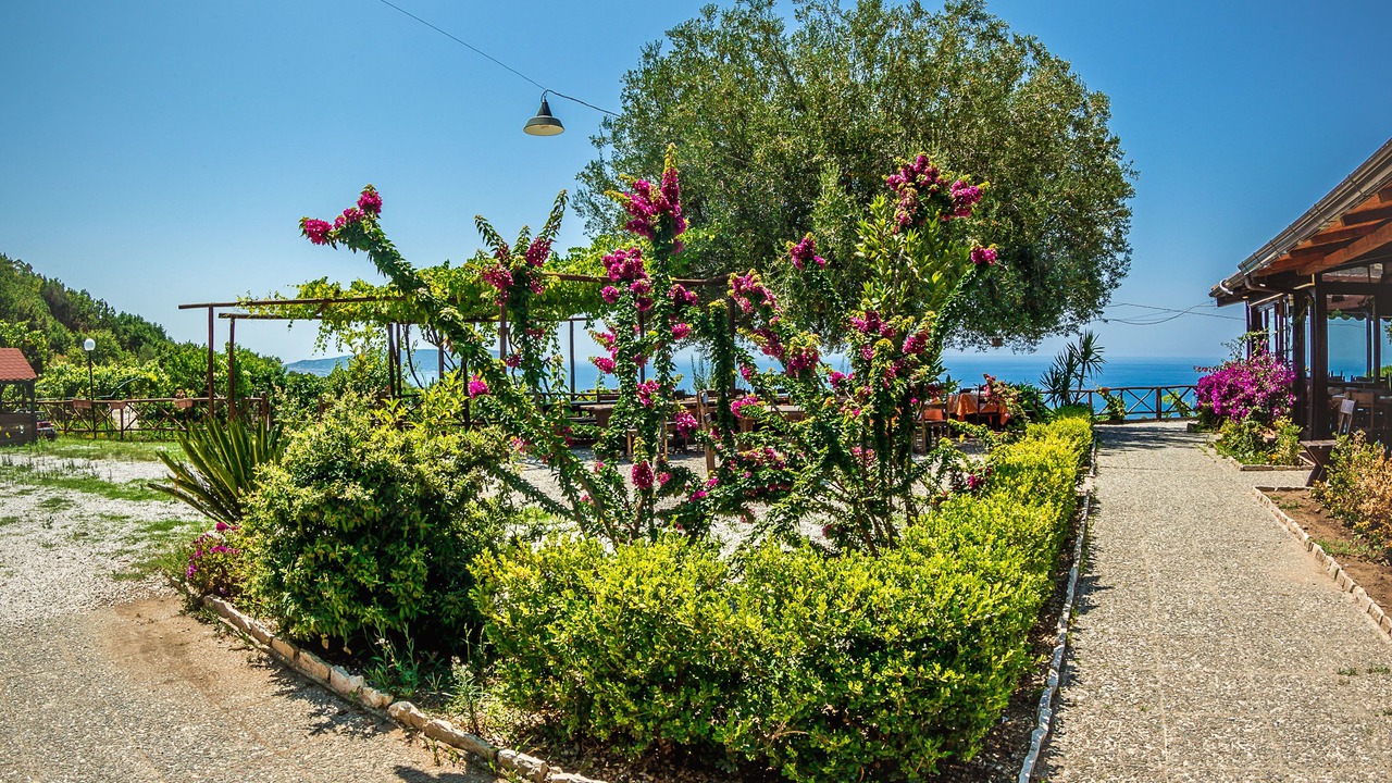 Photo of Outdoor in Caprioli