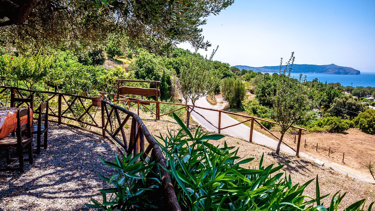 Photo of Outdoor in Caprioli