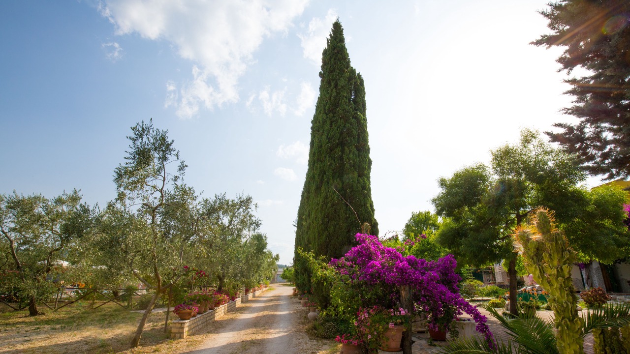 Photo of Outdoor in Mandrione