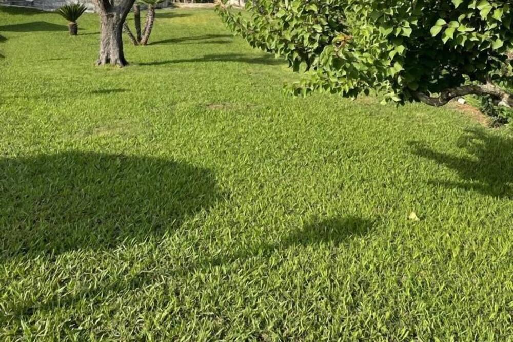 Photo of Outdoor in Agropoli