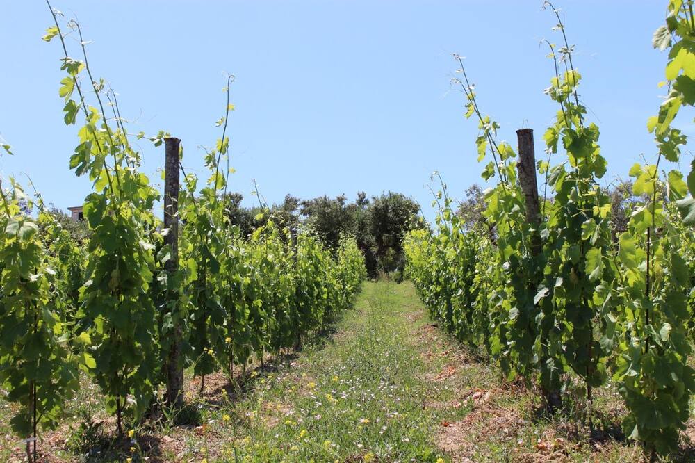 Photo of Outdoor in Agropoli