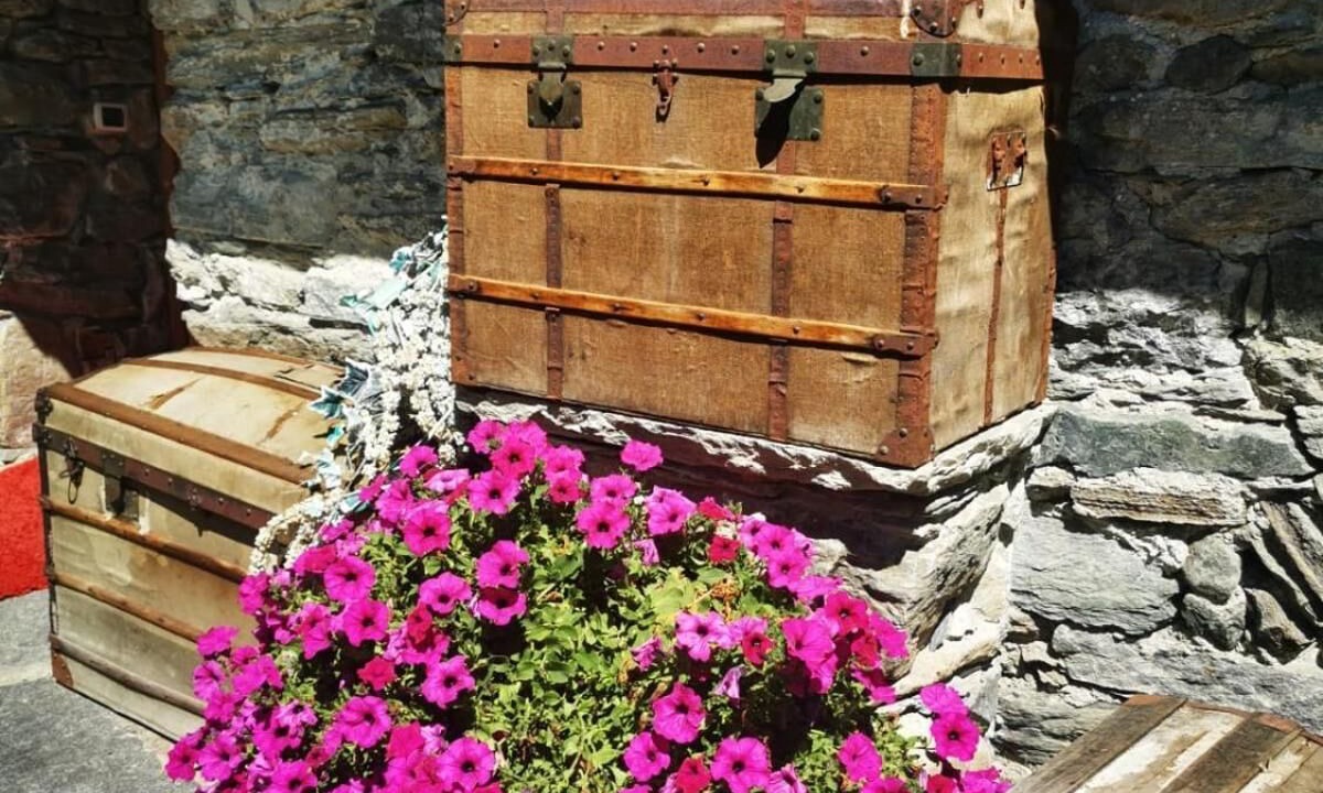 Photo of Others in Valtournenche