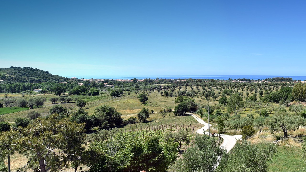 Photo of Outdoor in Ascea